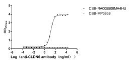 The Binding Activity of Human CLDN6 with Anti-CLDN6 recombinant antibody. Activity: Measured by its binding ability in a functional ELISA. Immobilized Human CLDN6 (CSB-MP005508HU(A4)) at 10 μg/mL can bind Anti-CLDN6 recombinant antibody. The EC<sub>50</sub> is 12.95-16.18 ng/mL. The VLPs (CSB-MP3838) is negative control.