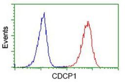 Flow Cytometry: CDCP1 Antibody (2C1) [NBP2-03459] - Analysis of Jurkat cells, using anti-CDCP1 antibody, (Red), compared to a nonspecific negative control antibody (Blue).