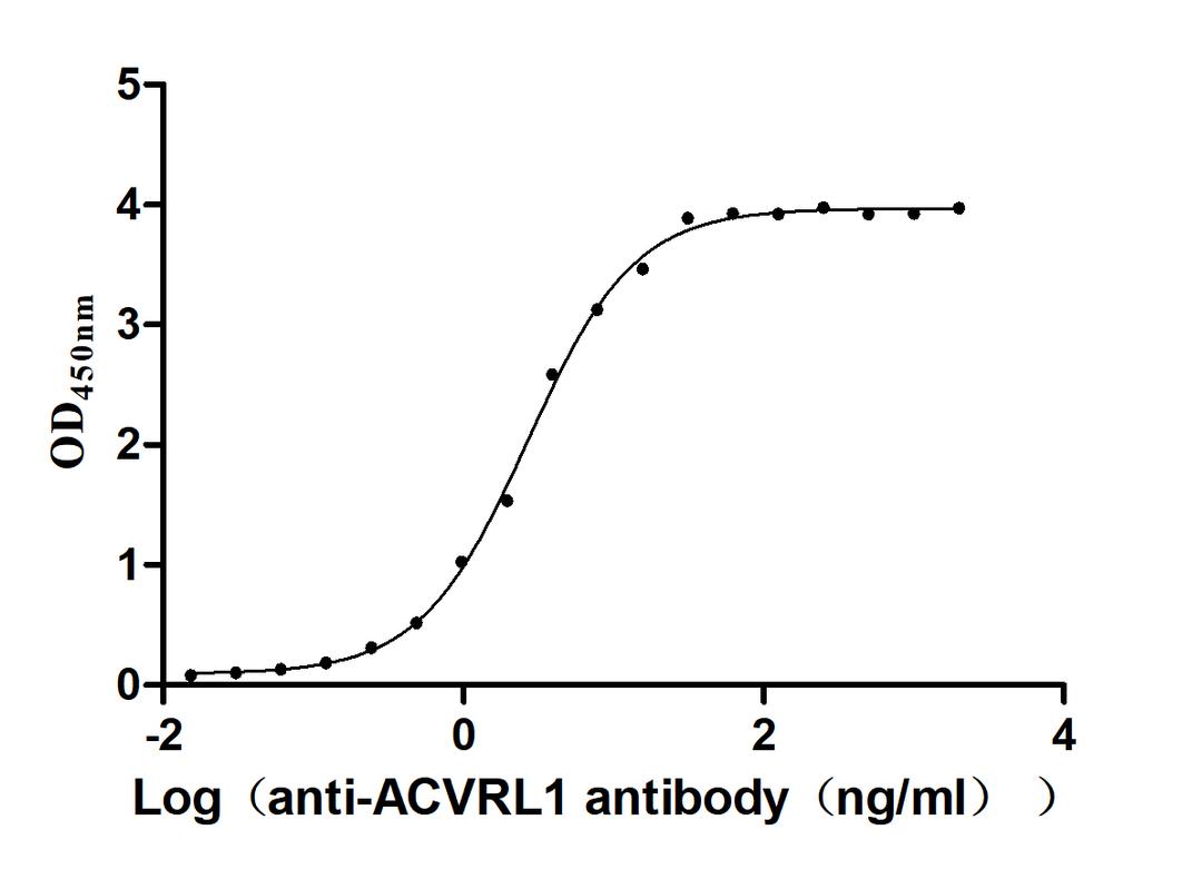 The Binding Activity of Human ACVRL1 with Anti-ACVRL1 recombinant antibody. Activity: Measured by its binding ability in a functional ELISA. Immobilized Human ACVRL1(CSB-BP001262HU1) at 2 μg/mL can bind Anti-ACVRL1 recombinant antibody, the EC<sub>50</sub> is 2.417-2.971ng/mL.