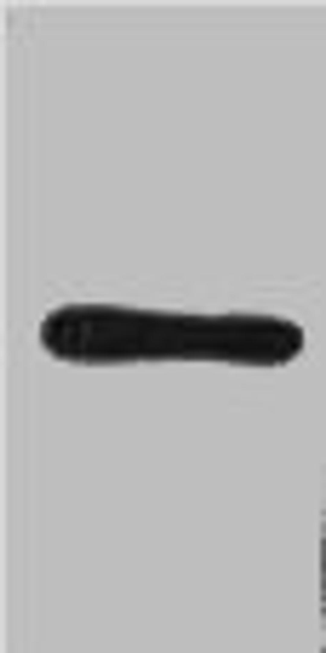 Western blot analysis of HA Recombinant protein, diluted at 1:2000