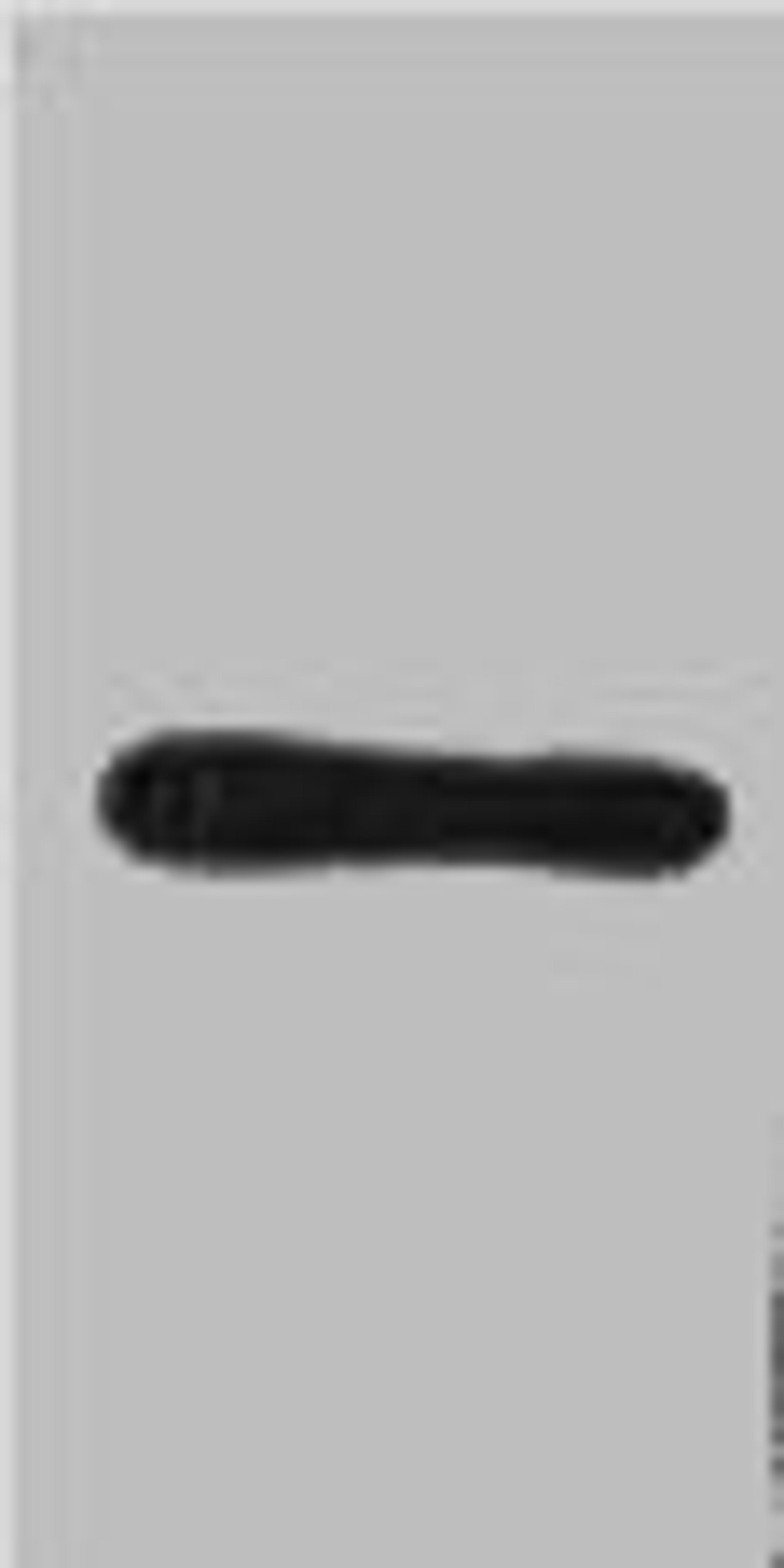 Western blot analysis of HA Recombinant protein, diluted at 1:2000