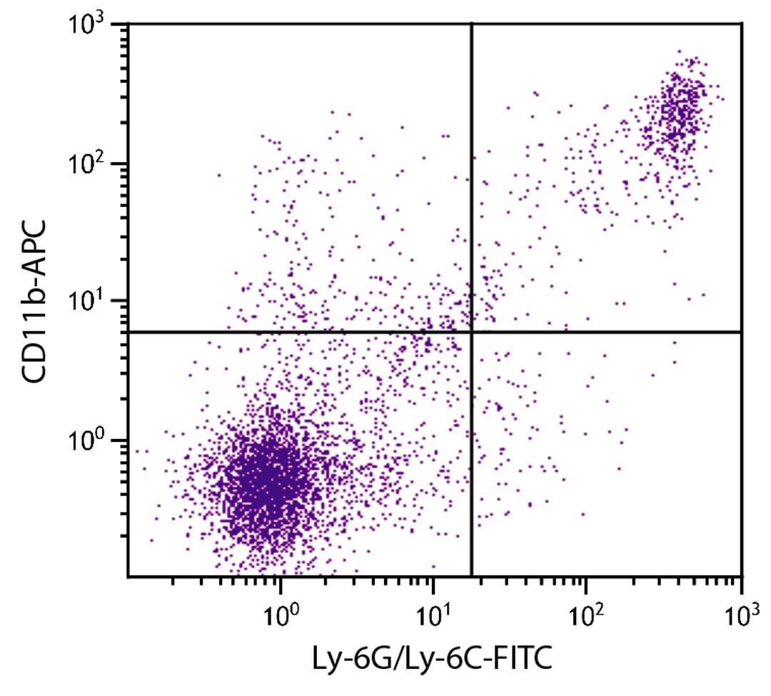 BALB/c mouse splenocytes were stained with Rat Anti-Mouse CD11b-APC (Cat. No. 98-646) and Rat Anti-Mouse Ly-6G/Ly-6C-FITC .