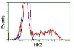 Flow Cytometry: Hexokinase 2 Antibody (4C5) [NBP2-02272] - HEK293T cells transfected with either pCMV6-ENTRY Hexokinase 2.(Red) or empty vector control plasmid (Blue) were immunostained with anti-Hexokinase 2 mouse monoclonal, and then analyzed by flow cytometry.