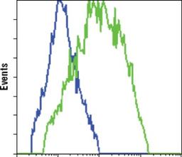 Flow Cytometry: GFP Antibody (4B10B2) [NBP2-22111] - Flow cytometric analysis of HCC827 cells, untransfected (blue) or transfected with GFP (green), using GFP mouse mAb .