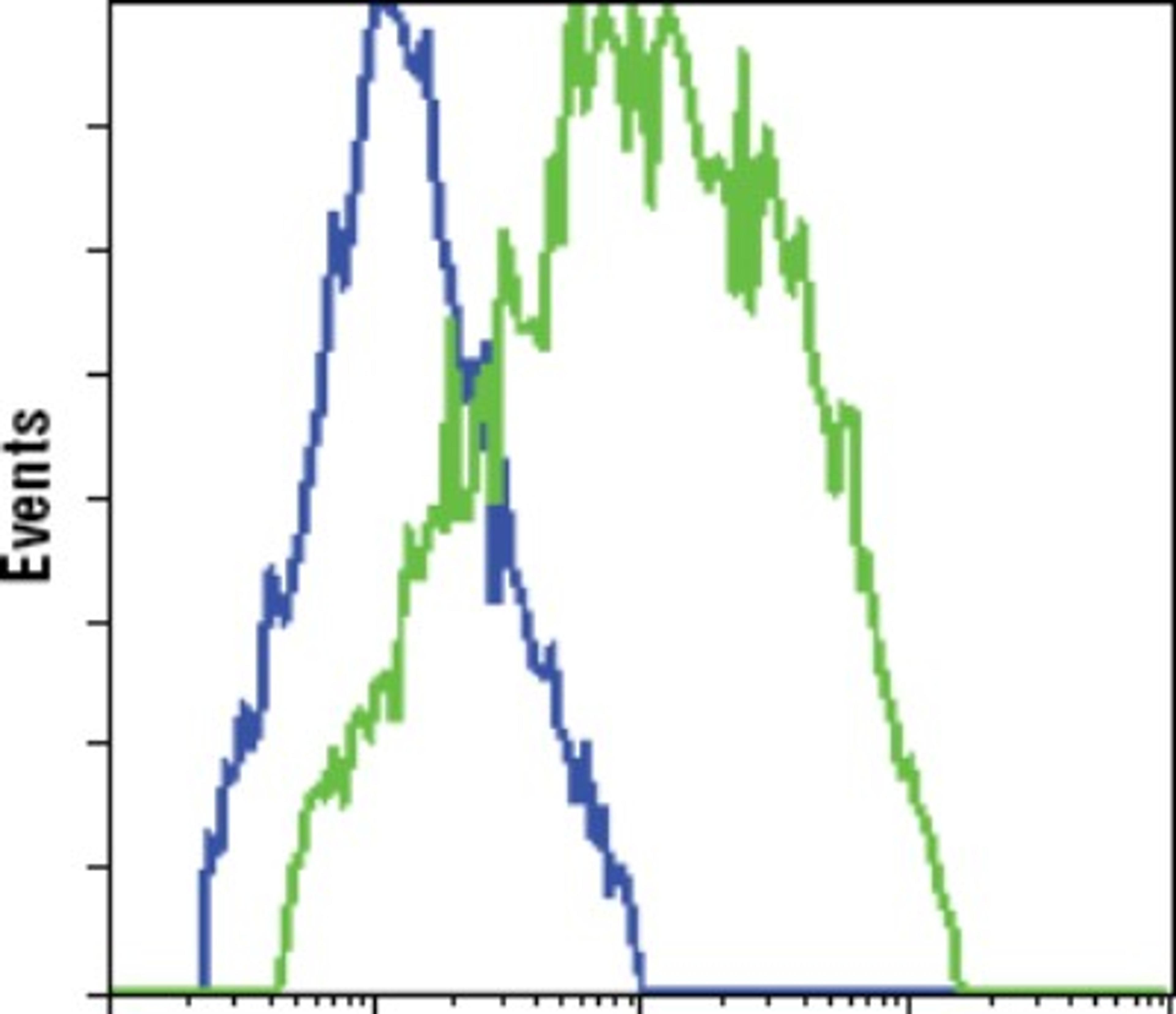 Flow Cytometry: GFP Antibody (4B10B2) [NBP2-22111] - Flow cytometric analysis of HCC827 cells, untransfected (blue) or transfected with GFP (green), using GFP mouse mAb .