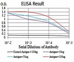 ELISA Black line: Control Antigen (100 ng); Purple line: Antigen(10ng); Blue line: Antigen (50 ng); Red line: Antigen (100 ng)