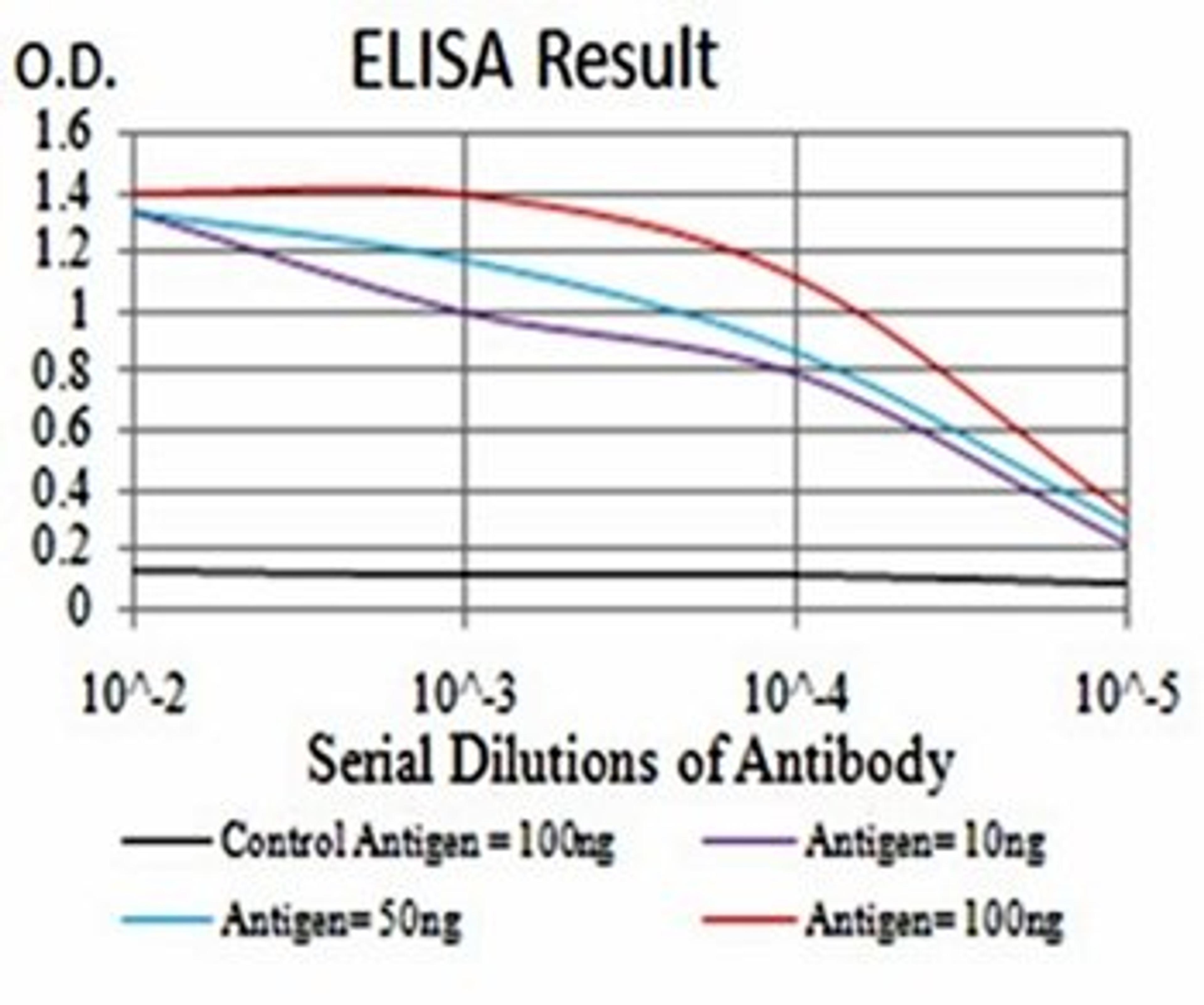 ELISA Black line: Control Antigen (100 ng); Purple line: Antigen(10ng); Blue line: Antigen (50 ng); Red line: Antigen (100 ng)