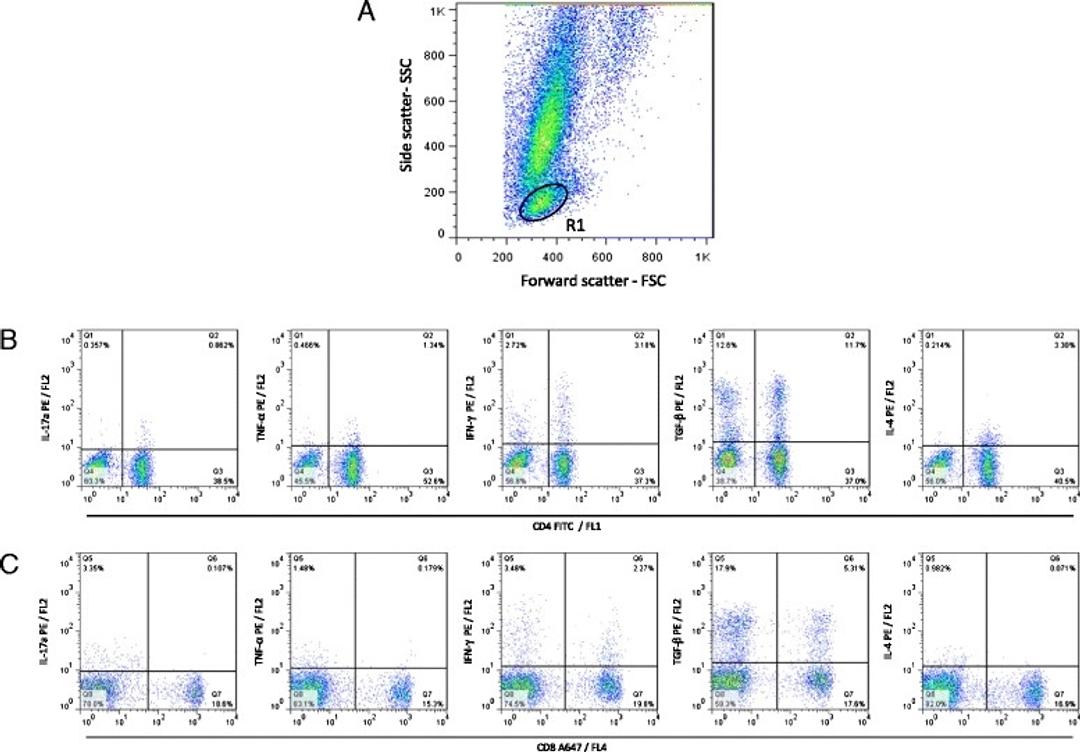 Mouse anti Bovine interleukin-4 used for the identification of interferon gamma expression