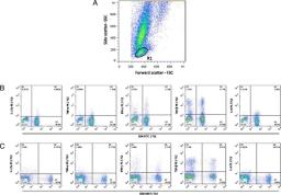 Mouse anti Bovine interleukin-4 used for the identification of interferon gamma expression