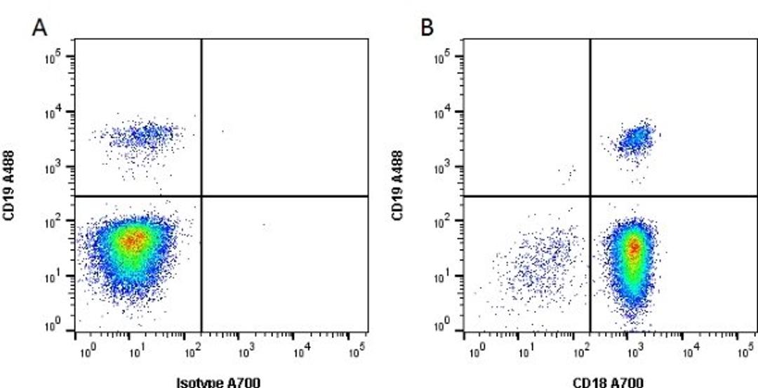 Figure A. mouse anti human CD19. Figure B. mouse anti human CD19 and rat anti human CD18.