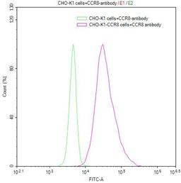 Untransfected CHO-K1 cells (green line) and transfected Human CCR8 CHO-K1 stable cells (red line) were stained with anti-CCR8 antibody (2µg/1*10<sup>6</sup>cells), washed and then followed by FITC-conjugated anti-Human IgG Fc antibody and analyzed with flow cytometry.