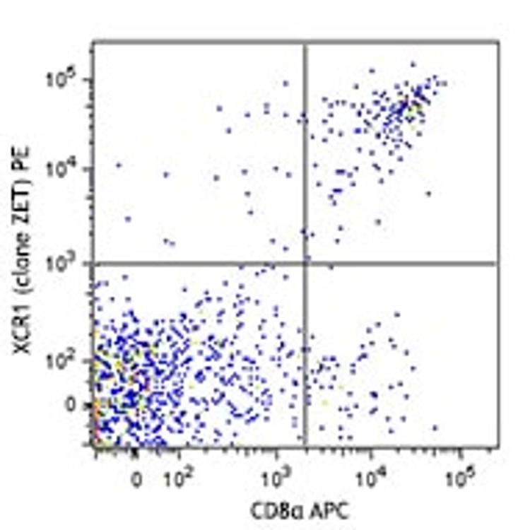 BioLegend Antibodies