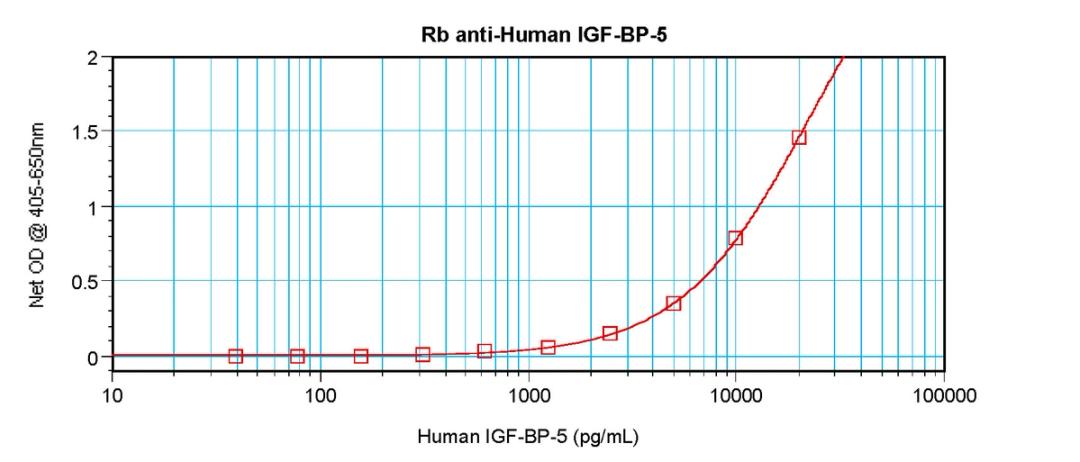 To detect hIGF-BP5 by sandwich ELISA (using 100 ul/well antibody solution) a concentration of 0.5 - 2.0 ug/ml of this antibody is required. This antigen affinity purified antibody, in conjunction with ProSci’s Biotinylated Anti-Human IGF-BP5 (38-154) as a