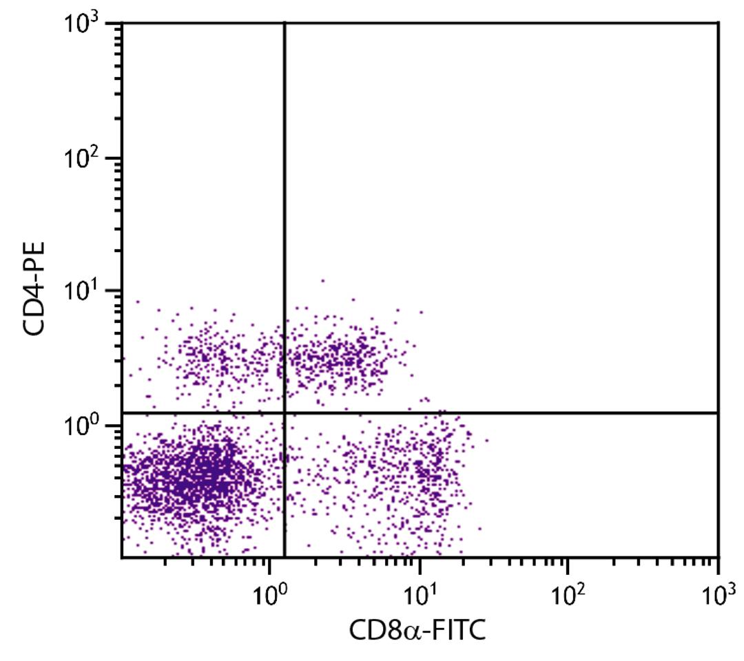 Porcine peripheral blood lymphocytes were stained with Mouse Anti-Porcine CD8?-FITC (Cat. No. 99-149) and Mouse Anti-Porcine CD4-PE .
