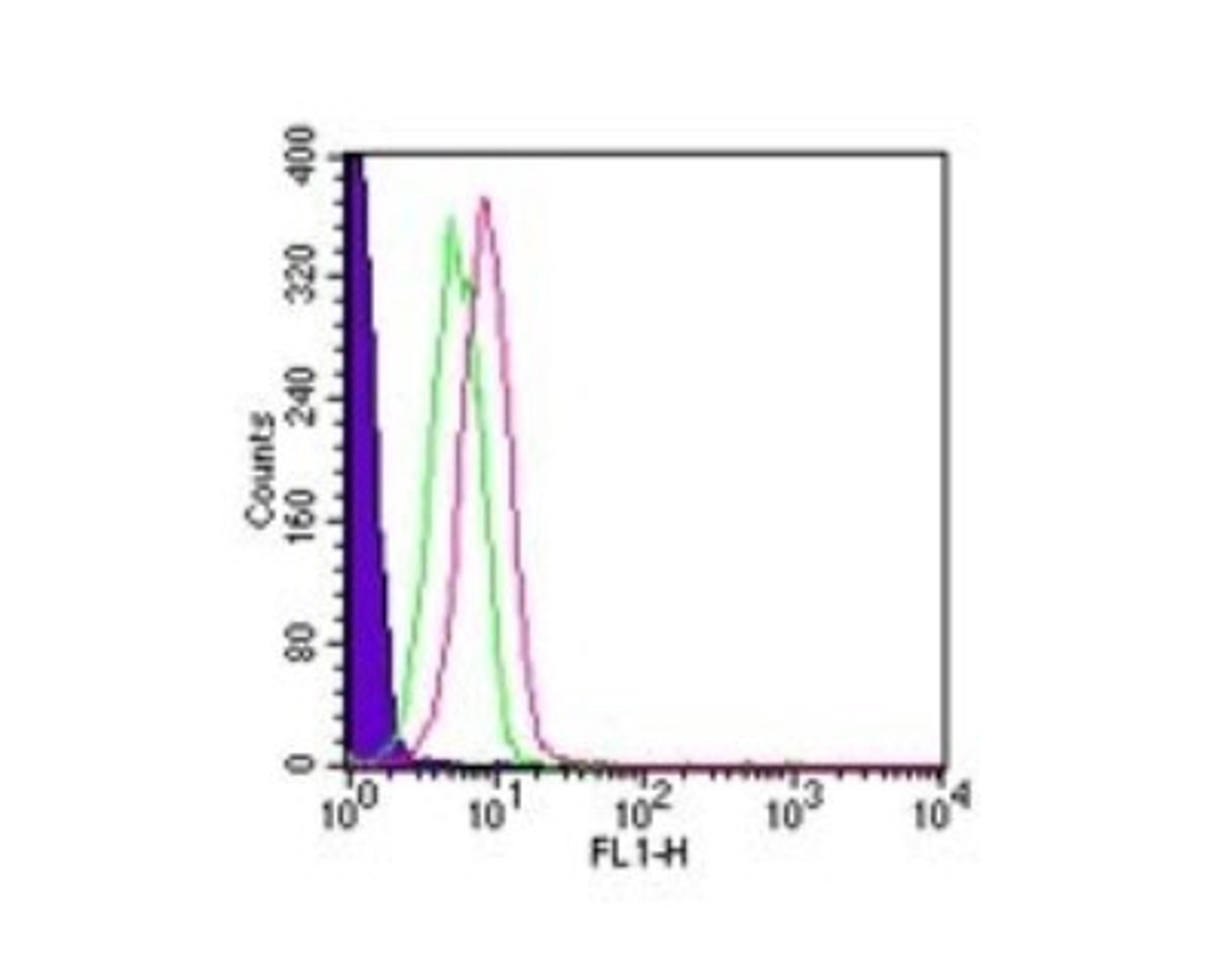 Flow Cytometry: TLR1 Antibody [NB100-56563] - Analysis using the Alexa Fluor (R) 488 conjugate of NB100-56563. Staining of TLR1 in human PBMCs (lymphocyte-gated) using this antibody at 10 ul/10^6 cells. Shaded histogram represents cells alone, green represents isotype controlwas used for this test.