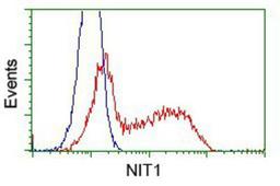 Flow Cytometry: Nitrilase 1 Antibody (3A11) [NBP2-02462] - HEK293T cells transfected with either pCMV6-ENTRY Nitrilase 1.(Red) or empty vector control plasmid (Blue) were immunostained with anti-Nitrilase 1 mouse monoclonal, and then analyzed by flow cytometry.