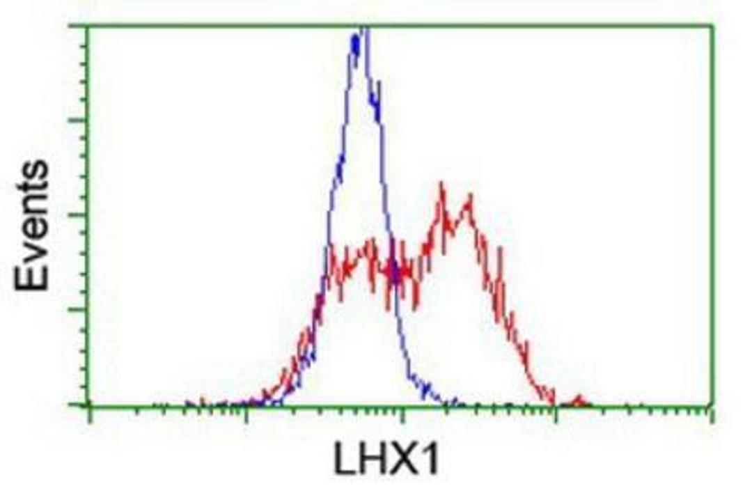 Flow Cytometry: LIM1 Antibody (2D5) [NBP2-01926] - HEK293T cells transfected with either overexpression plasmid (Red) or empty vector control plasmid (Blue) were immunostained by anti-LIM1 antibody, and then analyzed by flow cytometry.