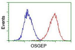 Flow Cytometry: OSGEP Antibody (9E3) [NBP2-00823] - Analysis of Hela cells, using anti-OSGEP antibody, (Red), compared to a nonspecific negative control antibody (Blue).