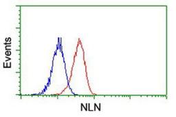 Flow Cytometry: NLN Antibody (1D6) [NBP2-01693] - Analysis of Jurkat cells, using anti-NLN antibody, (Red), compared to a nonspecific negative control antibody (Blue).