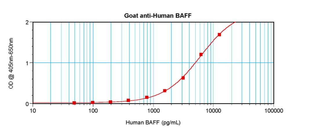 To detect hBAFF by sandwich ELISA (using 100 ul/well antibody solution) a concentration of 0.5 - 2.0 ug/ml of this antibody is required. This antigen affinity purified antibody, in conjunction with ProSci’s Biotinylated Anti-Human BAFF (XP-5105Bt) as a de