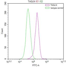 Overlay Peak curve showing Hela cells stained with CSB-RA023105MA1HU (red line) at 1:200. The cells were fixed in 4% formaldehyde and permeated by 0.2% TritonX-100. Then 10% normal goat serum to block non-specific protein-protein interactions followed by the antibody (1ug/1*10<sup>6</sup>cells) for 45min at 4℃. The secondary antibody used was FITC-conjugated Goat Anti-Mouse IgG(H+L) at 1:200 dilution for 35min at 4℃.Control antibody (green line) was mouse IgG (1ug/1*10<sup>6</sup>cells) used under the same conditions. Acquisition of >10,000 events was performed.