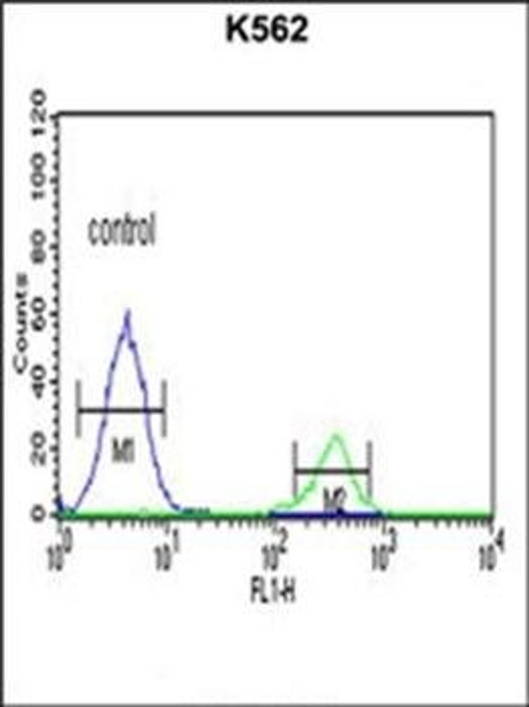 Flow cytometric analysis of K562 cells using KIR3DS1 antibody (primary antibody dilution at: 1:10-50)