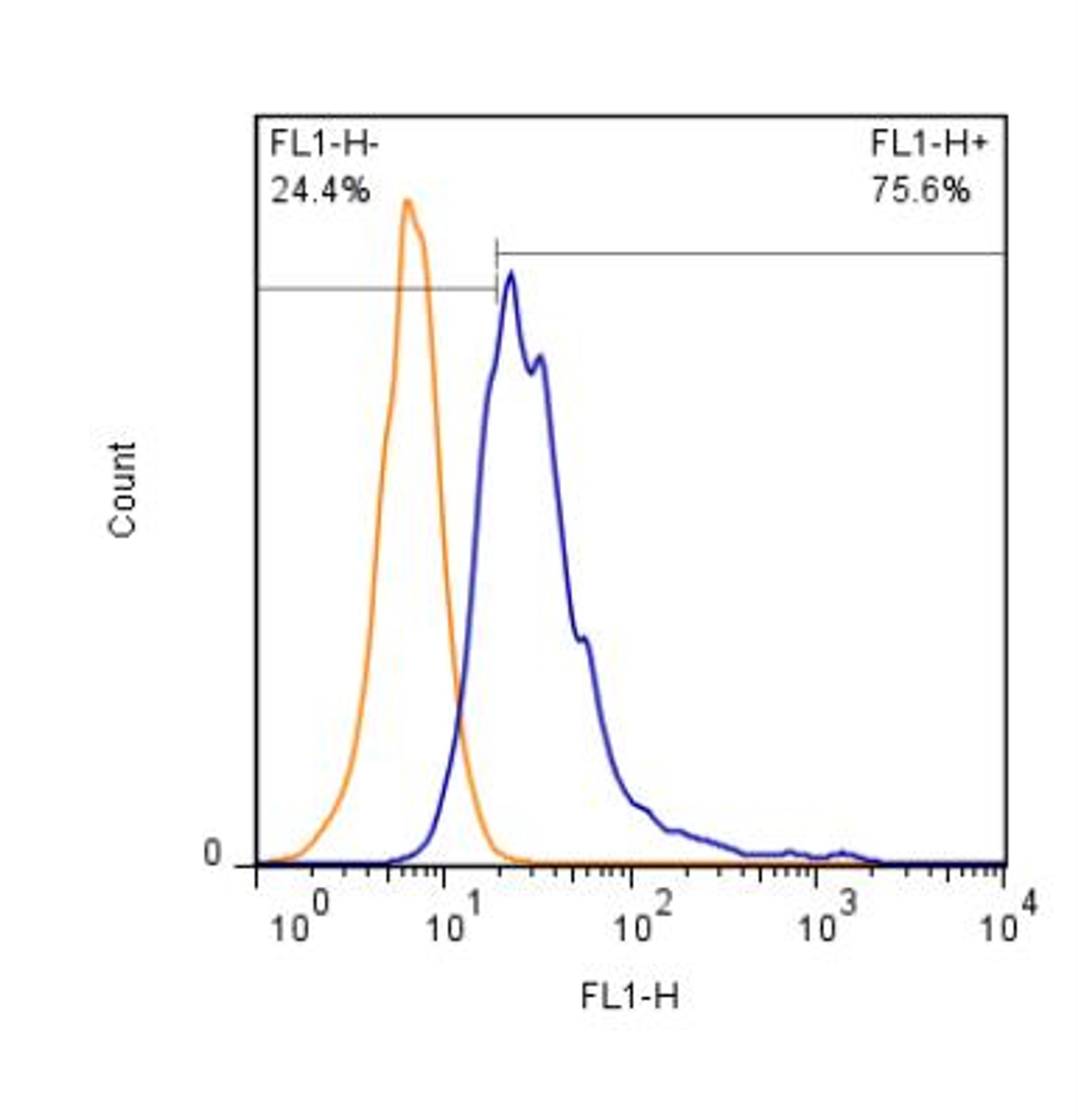 Flow Cytometry: CD63 Antibody (H5C6) [NBP2-42225] - Human peripheral blood cells were stained (2 x 10^6 cells/ml) using the anti-CD63 antibody at a dilution of 1:1000. Signal was detected using a Gt x Ms Dylight 488 Secondary and gated to the monocyte/granulocyte cell populations. Data collected on BD FACS Calibur flow cytometer.