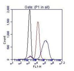 Flow cytometric analysis of phospho-Zap70 (Y319).