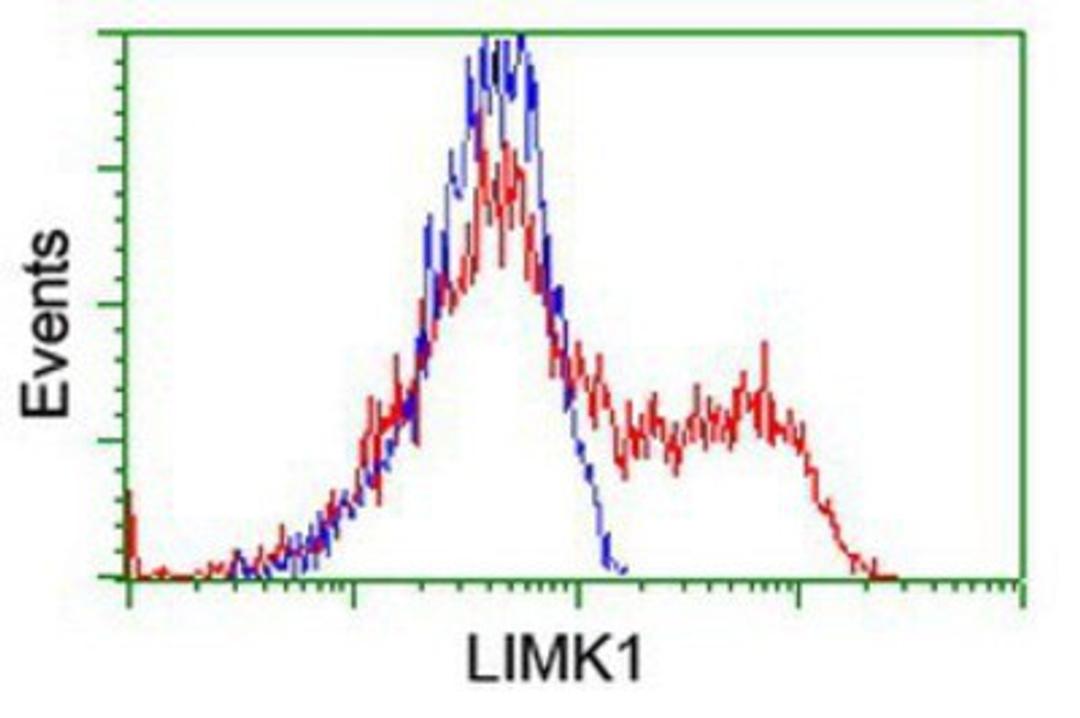 Flow Cytometry: LIM Kinase 1 Antibody (3H6) [NBP2-00748] - HEK293T cells transfected with either overexpression plasmid (Red) or empty vector control plasmid (Blue) were immunostained by anti-LIM Kinase 1 antibody, and then analyzed by flow cytometry.