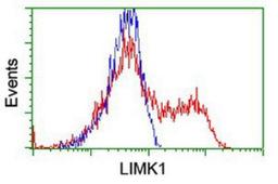 Flow Cytometry: LIM Kinase 1 Antibody (3H6) [NBP2-00748] - HEK293T cells transfected with either overexpression plasmid (Red) or empty vector control plasmid (Blue) were immunostained by anti-LIM Kinase 1 antibody, and then analyzed by flow cytometry.