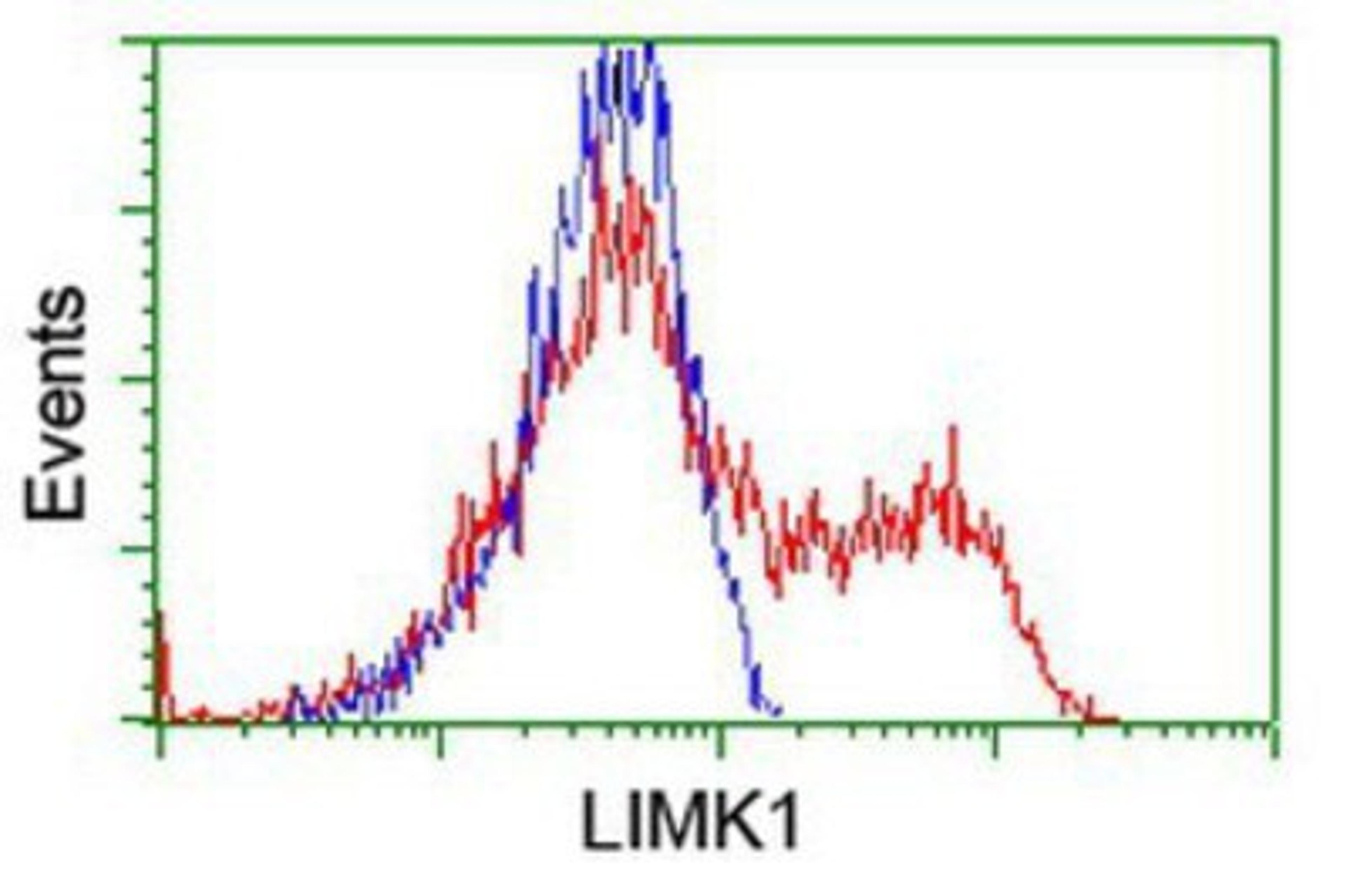 Flow Cytometry: LIM Kinase 1 Antibody (3H6) [NBP2-00748] - HEK293T cells transfected with either overexpression plasmid (Red) or empty vector control plasmid (Blue) were immunostained by anti-LIM Kinase 1 antibody, and then analyzed by flow cytometry.