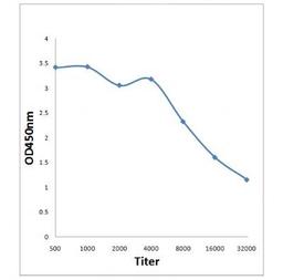 Line graph illustrates about the Ag-Ab reactions using different concentrations of antigen and serial dilutions of Mst2 (Phospho-Thr180) antibody