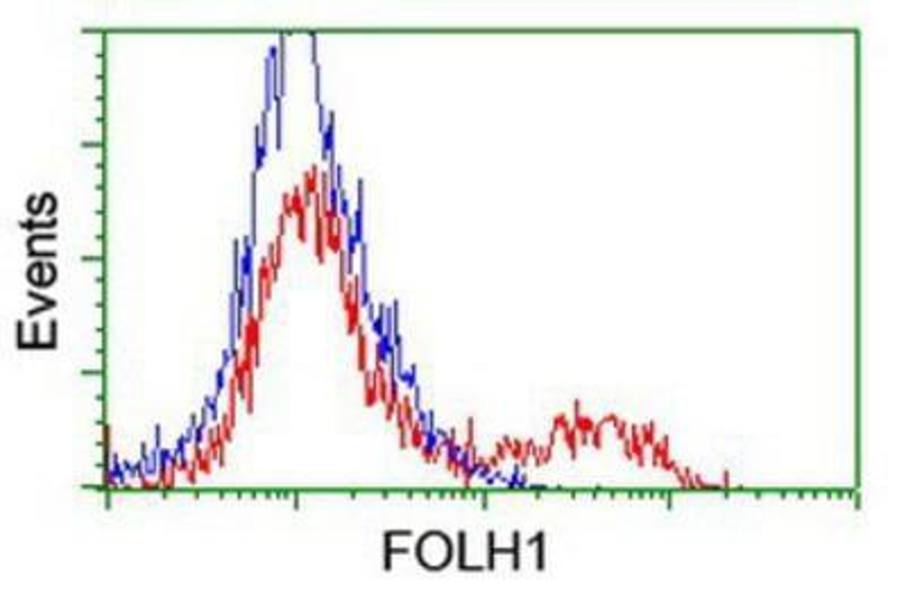 Flow Cytometry: PSMA/FOLH1/NAALADase I Antibody (3H5) [NBP2-02045] -  HEK293T cells transfected with either overexpression plasmid (Red) or empty vector control plasmid (Blue) were immunostained by anti-PSMA antibody, and then analyzed by flow cytometry.