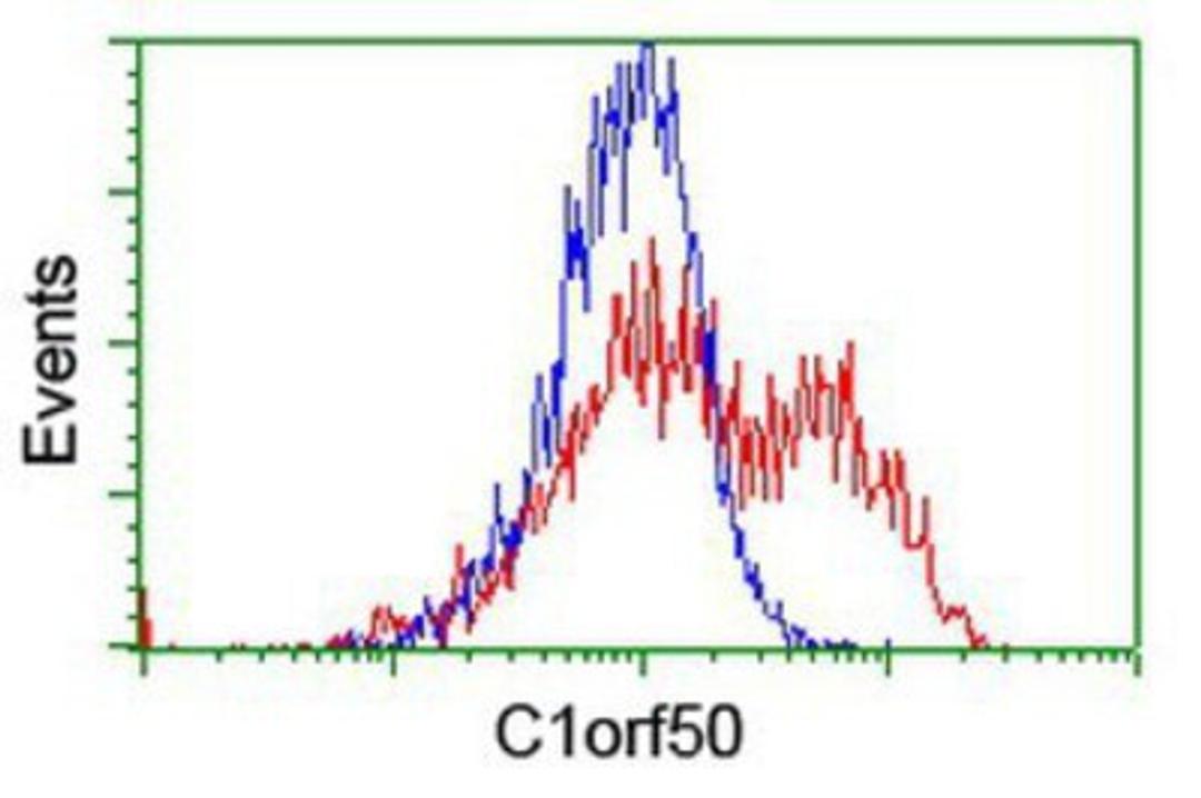 Flow Cytometry: C1orf50 Antibody (1C6) [NBP2-00778] - HEK293T cells transfected with either overexpression plasmid (Red) or empty vector control plasmid (Blue) were immunostained by anti-C1orf50 antibody, and then analyzed by flow cytometry.