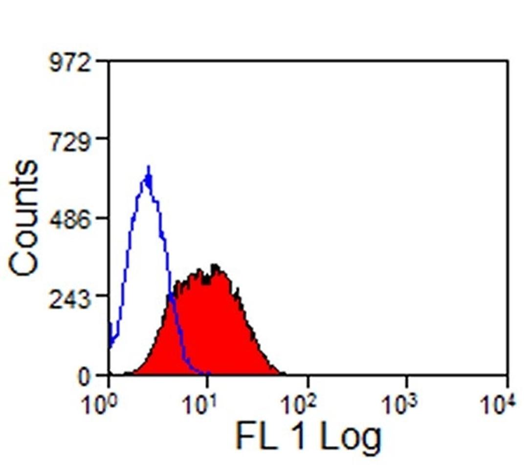 Tim-3 transfected LY5178Y cells stained with Rat anti Mouse TIM-3:FITC (MCA5790F)