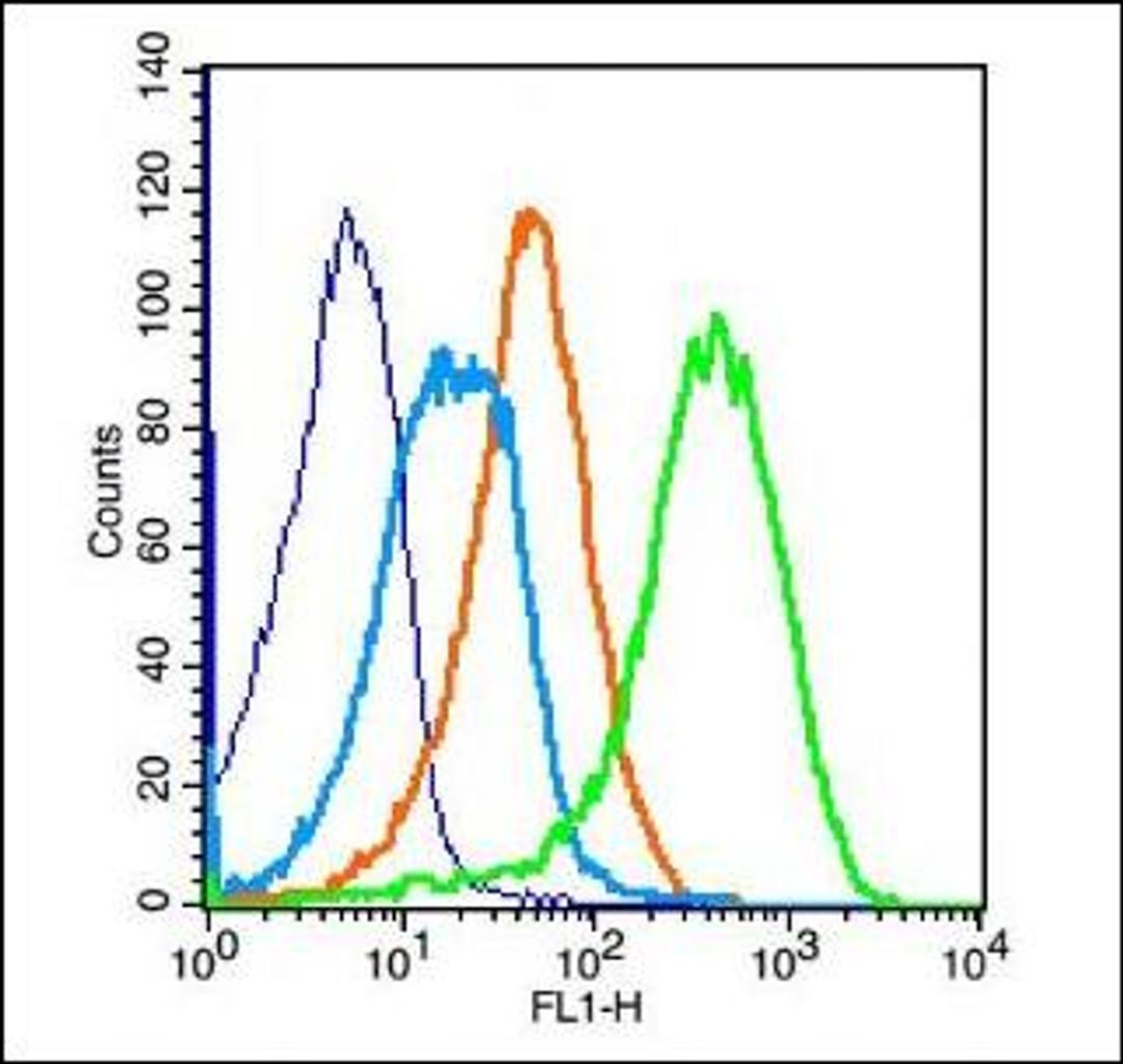 Flow cytometric analysis of (mo) Splenocytes Cell using GPRC5B antibody.