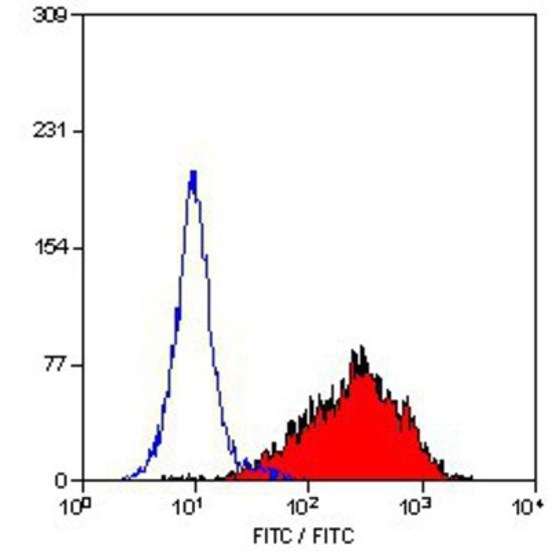 Flow Cytometry: Fibroblasts/Epithelial cells Antibody (D7-FIB) [NB600-777] - Fibroblast Marker Staining of KG1 cells.