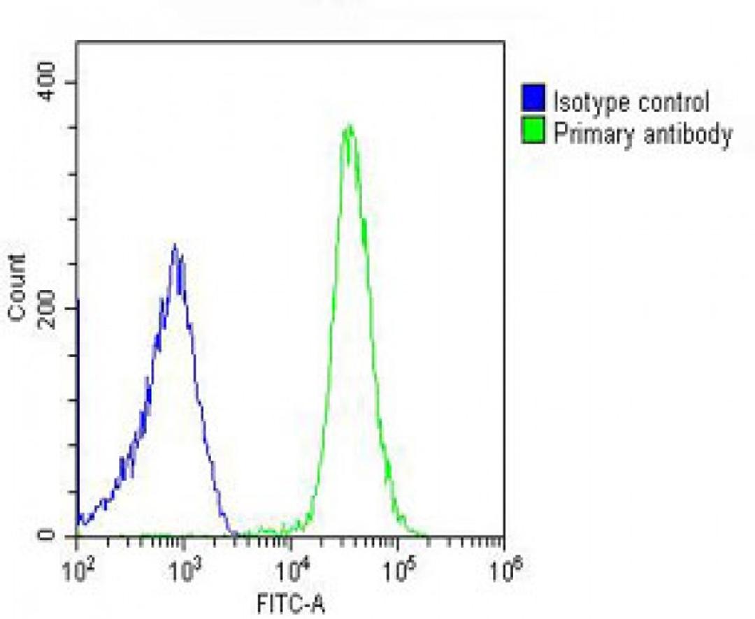 Overlay histogram showing U-2OS cells stained with Antibody (green line). The cells were fixed with 2% paraformaldehyde (10 min) and then permeabilized with 90% methanol for 10 min. The cells were then icubated in 2% bovine serum albumin to block non-spec