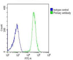 Overlay histogram showing U-2OS cells stained with Antibody (green line). The cells were fixed with 2% paraformaldehyde (10 min) and then permeabilized with 90% methanol for 10 min. The cells were then icubated in 2% bovine serum albumin to block non-spec