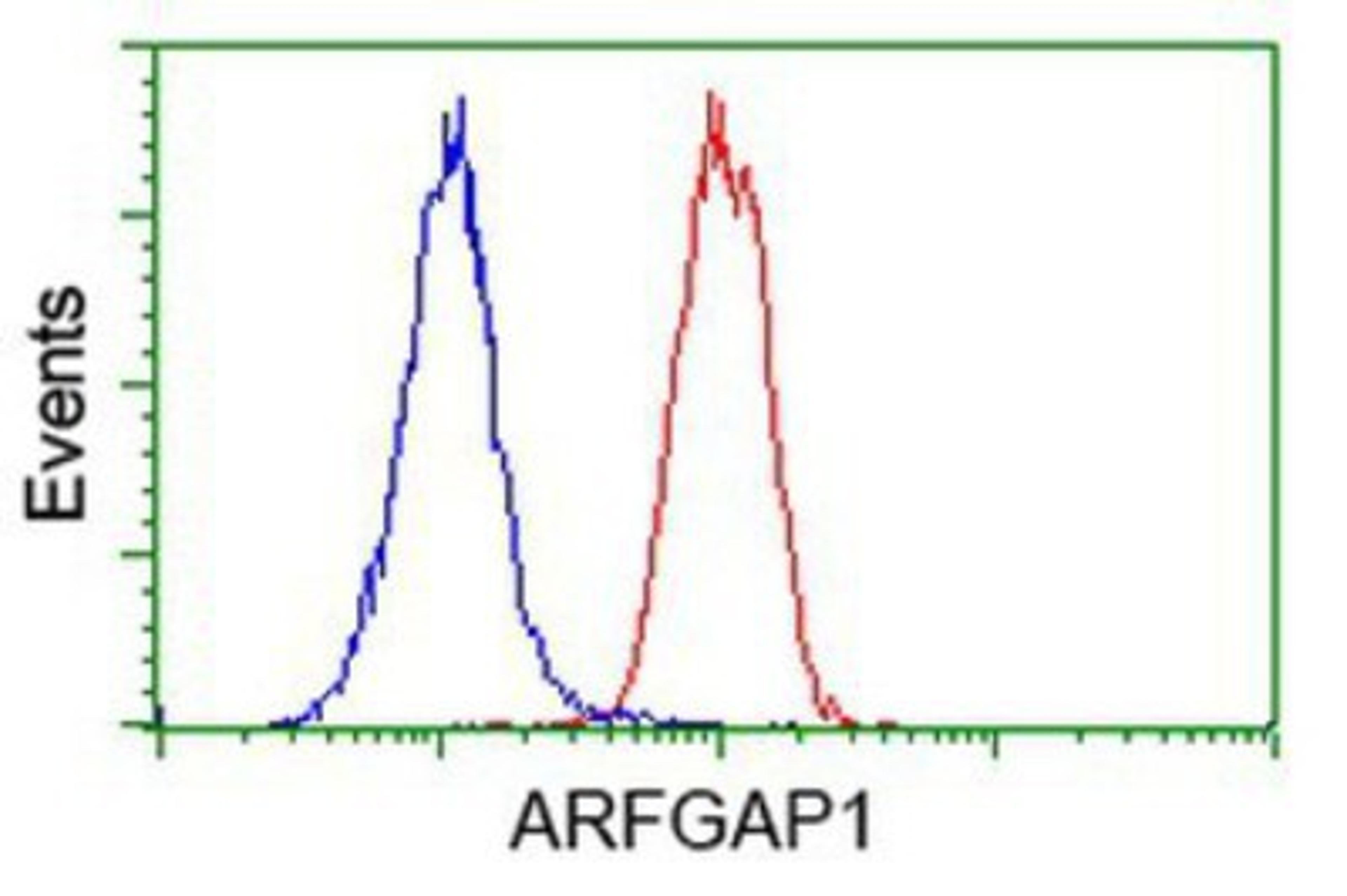 Flow Cytometry: ARFGAP1 Antibody (1F6) [NBP2-00513] - Analysis of Hela cells, using anti-ARFGAP1 antibody, (Red), compared to a nonspecific negative control antibody (Blue).