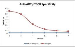 Line graph illustrates about the Ag-Ab reactions using different concentrations of antigen and serial dilutions of using AKT pT308 antibody (Biotin)