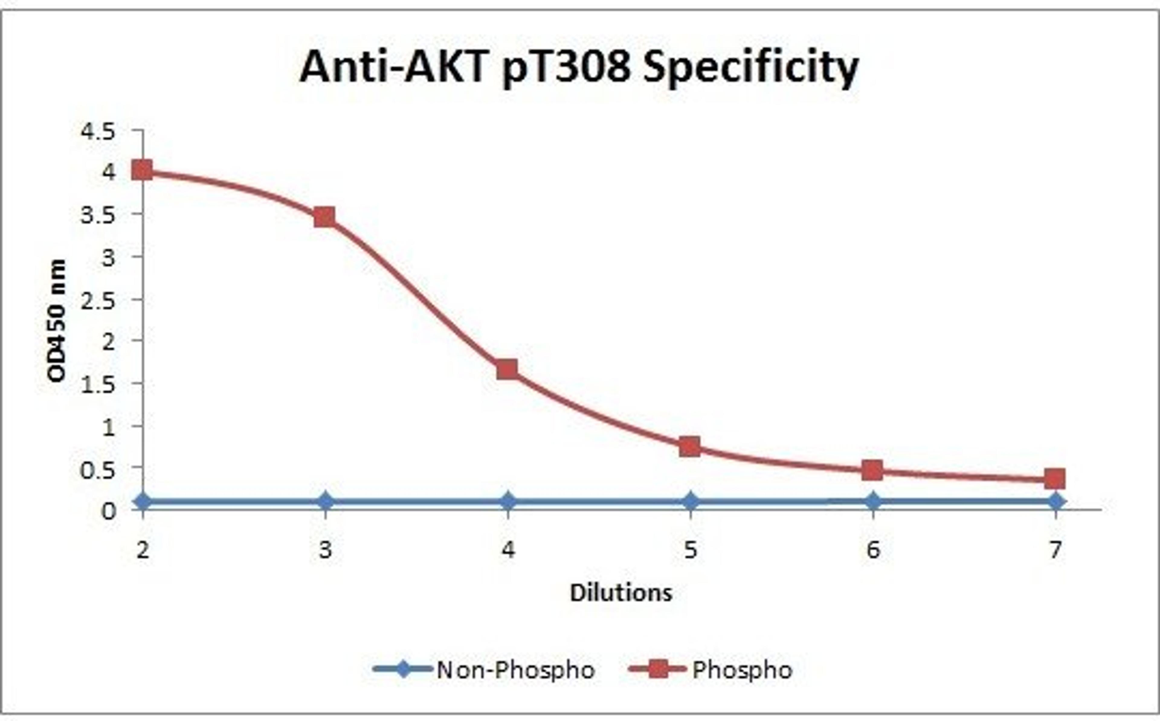 Line graph illustrates about the Ag-Ab reactions using different concentrations of antigen and serial dilutions of using AKT pT308 antibody (Biotin)