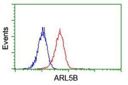 Flow Cytometry: ARL5B Antibody (2D7) [NBP2-01669] - Analysis of Jurkat cells, using anti-ARL5B antibody, (Red), compared to a nonspecific negative control antibody (Blue).