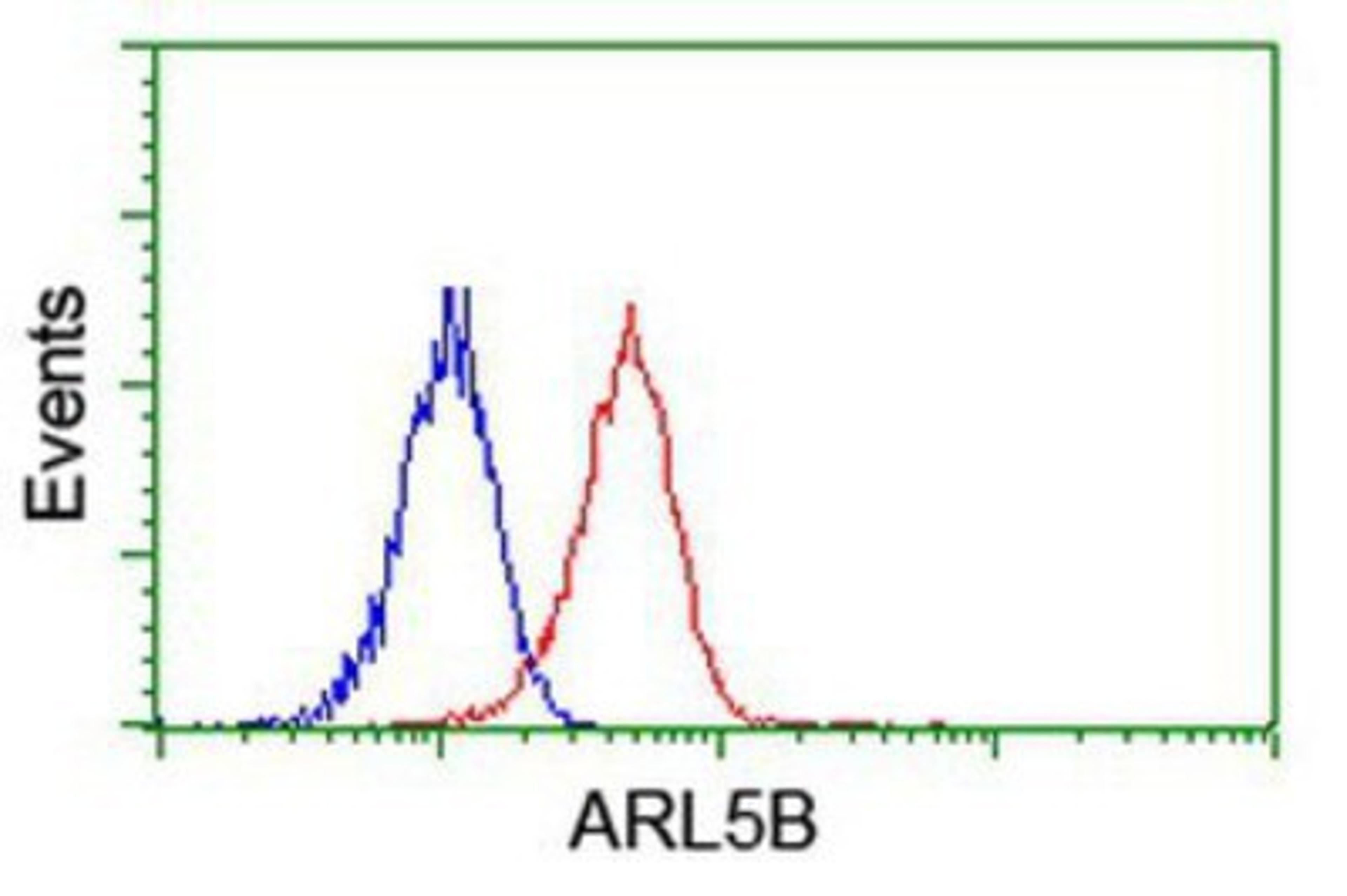 Flow Cytometry: ARL5B Antibody (2D7) [NBP2-01669] - Analysis of Jurkat cells, using anti-ARL5B antibody, (Red), compared to a nonspecific negative control antibody (Blue).