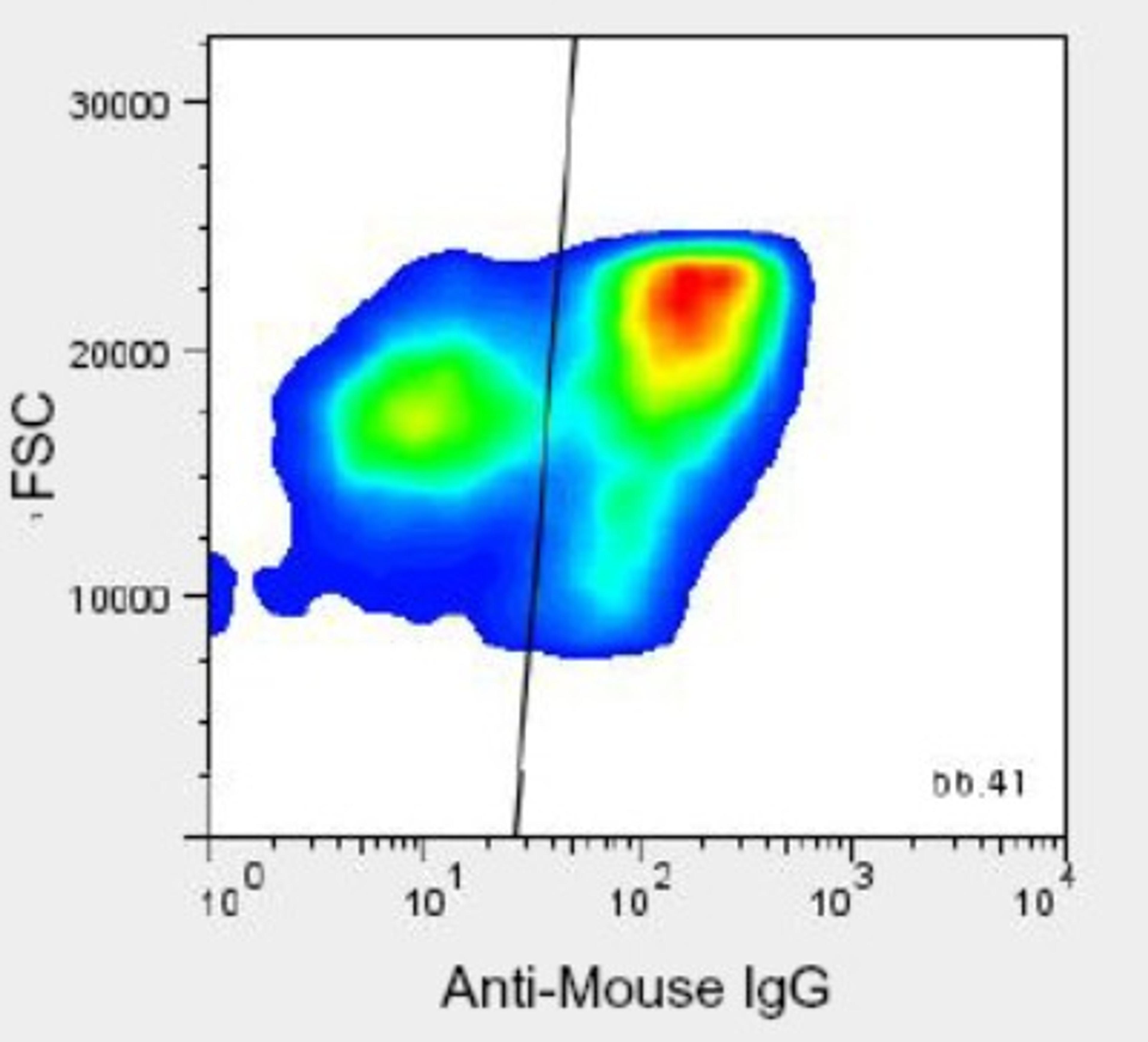 Flow Cytometry: HPx1 Antibody (HIC0-3B3) [NBP1-18951] - Analysis of enzyme dispersed human pancreas cells.