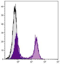 BALB/c mouse splenocytes were stained with Rat Anti-Mouse CD22-FITC (Cat. No. 98-677).