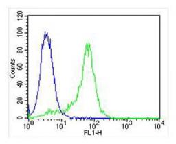 Overlay histogram showing Hela cells stained with Antibody (green line). The cells were fixed with 2% paraformaldehyde (10 min) and then permeabilized with 90% methanol for 10 min. The cells were then icubated in 2% bovine serum albumin to block non-speci