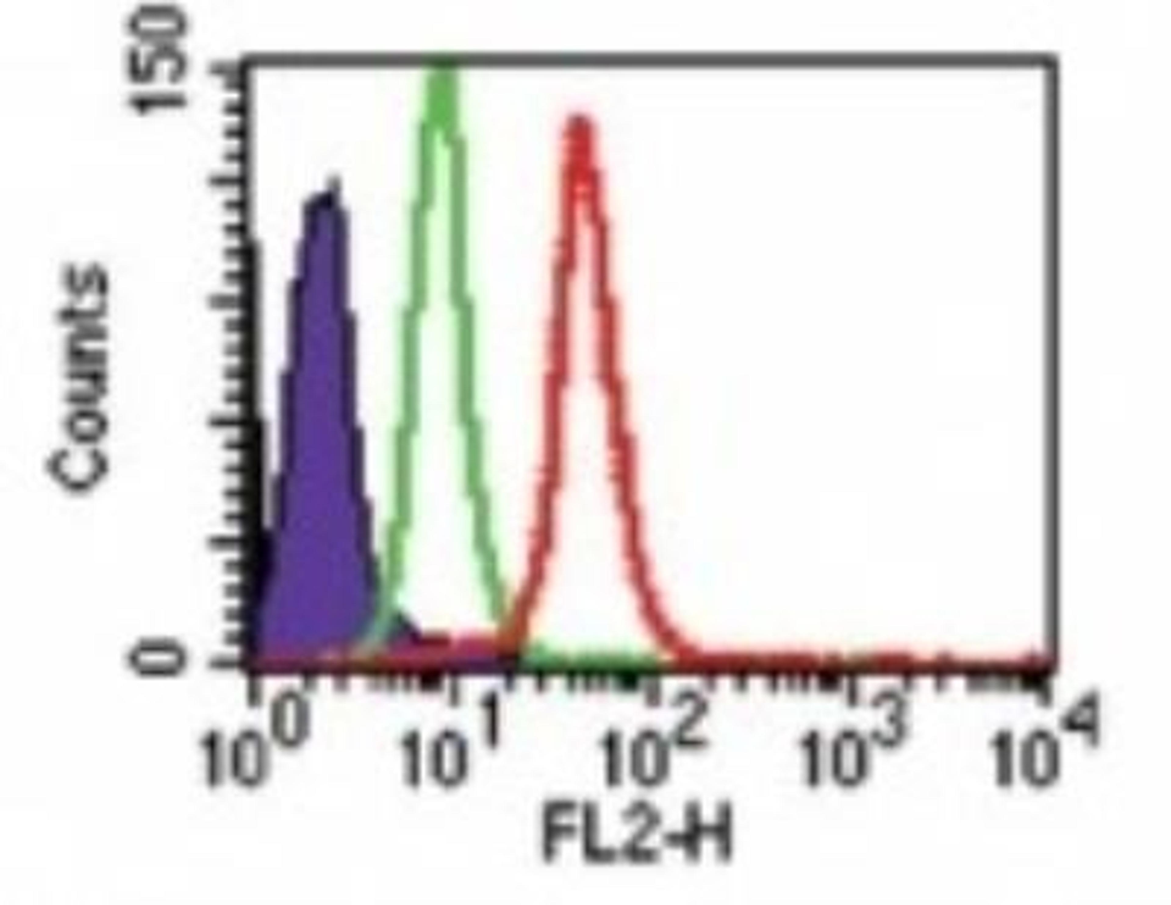 Flow (Intracellular): TLR8 Antibody (44C143) [NBP2-24917] - Analysis using the PE conjugate of NBP2-24917. Staining of TLR8 in Ramos cells using 2 ug of NBP2-24817. Shaded histogram represents Ramos cells without antibody; green represents isotype control; red represents anti-TLR8 antibody.