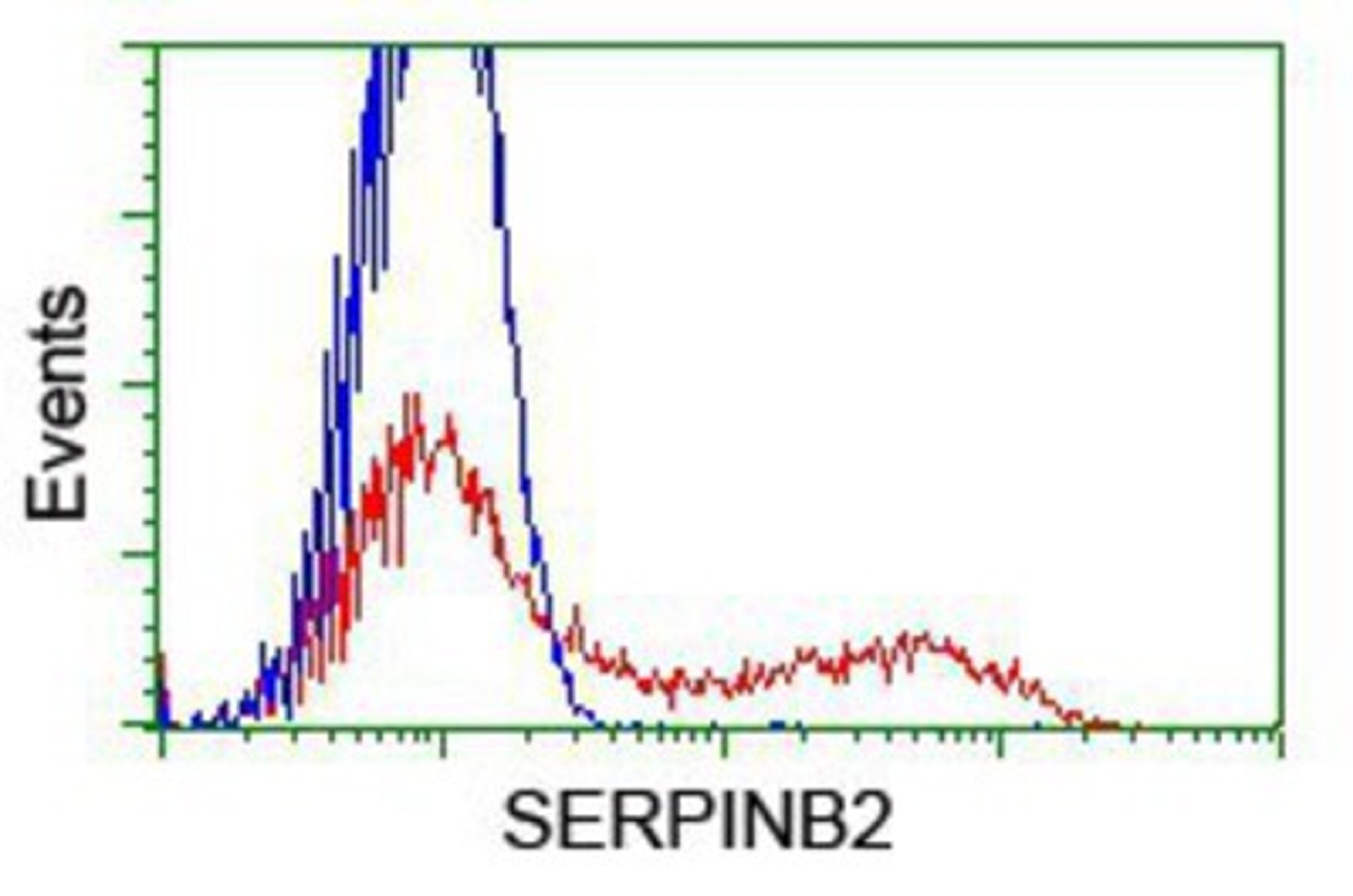 Flow Cytometry: SerpinB2 Antibody (1G3) [NBP2-01492] - HEK293T cells transfected with either overexpression plasmid (Red) or empty vector control plasmid (Blue) were immunostained by anti-SerpinB2 antibody, and then analyzed by flow cytometry.