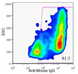 Flow Cytometry: HPi2 Antibody (HIC1-2B4.2B) [NBP1-18946] - Analysis of enzyme dispersed human pancreas cells.